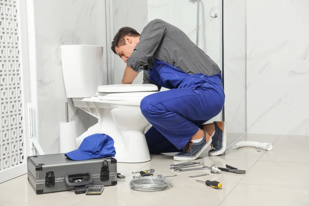 Toilet Installation in Dunean